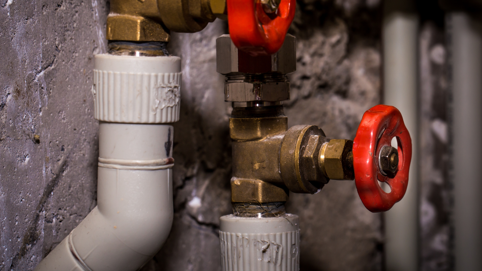 Untitled design - 2026-02-23T120248.110