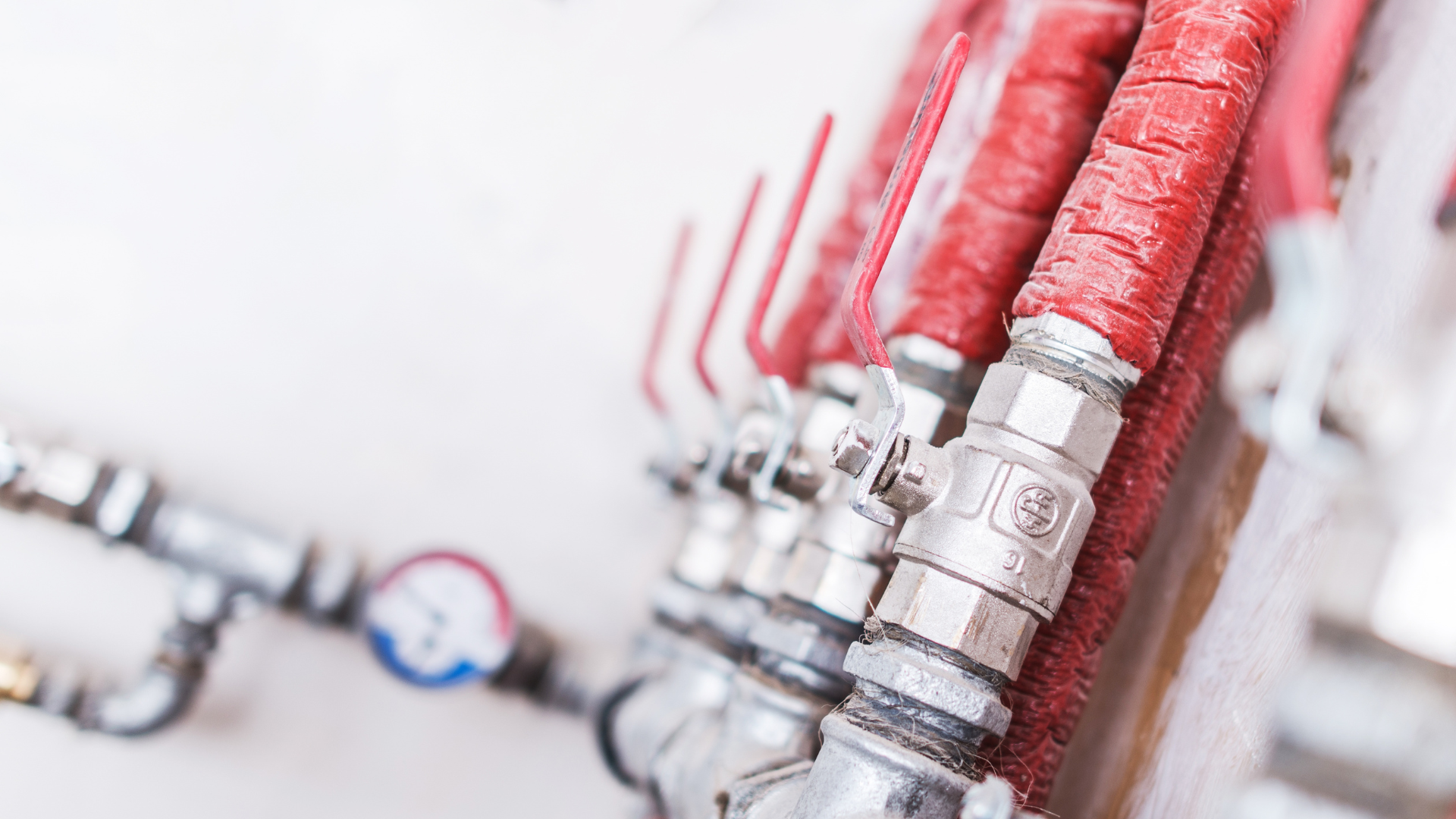 Untitled design - 2026-02-23T120305.021