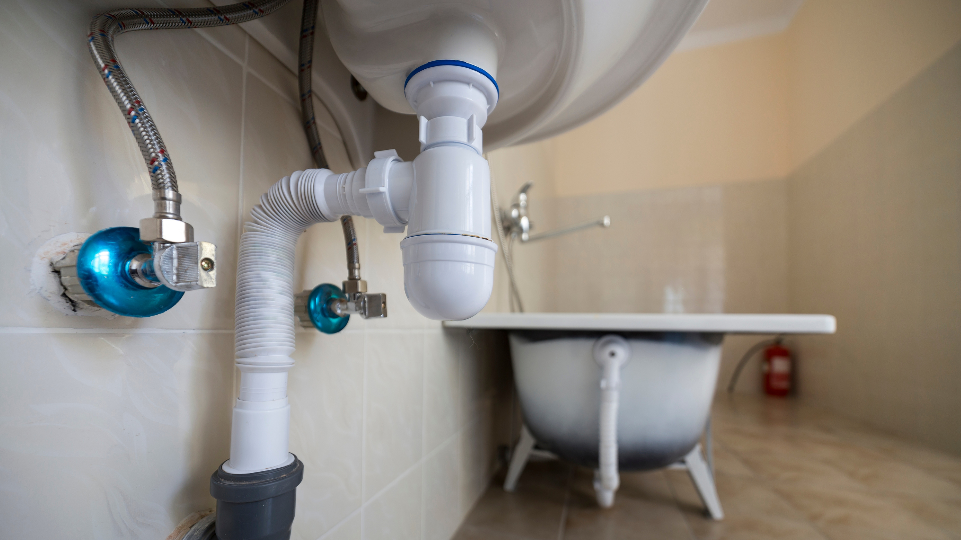 Untitled design - 2026-02-23T120405.824